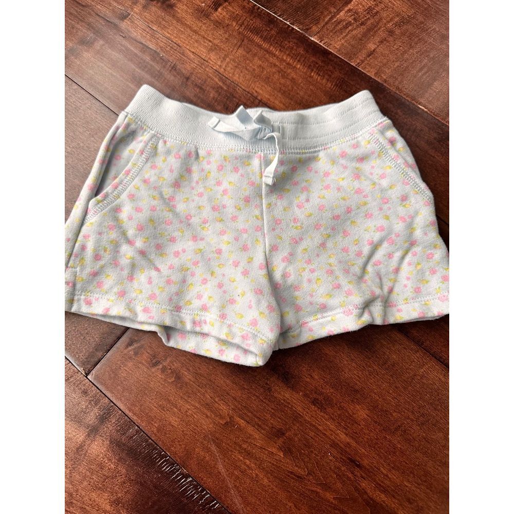 Polo Ralph Lauren sweatshirt shorts baby blue‎ floral 3T